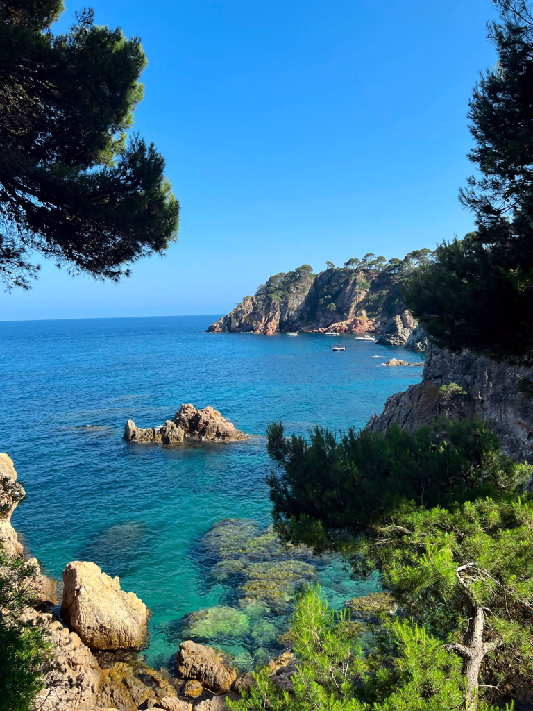 Nos séjours de plongée en Espagne