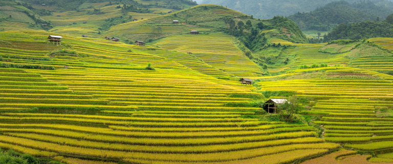 Nos voyages sportifs à Sapa au Vietnam