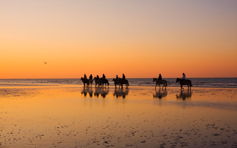 Séjour rando équestre en Normandie