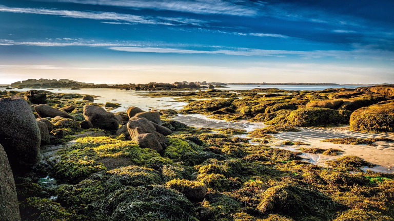 Découvrez nos voyages dans les Côtes-d'Armor en Bretagne
