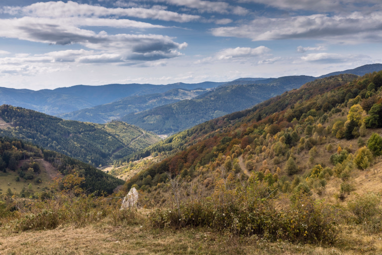 GR©5 dans les Vosges