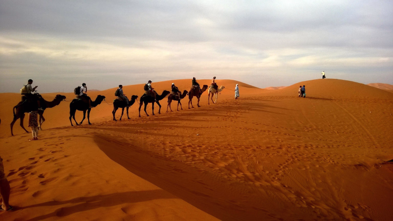 Désert Sahara © Désert Sahara