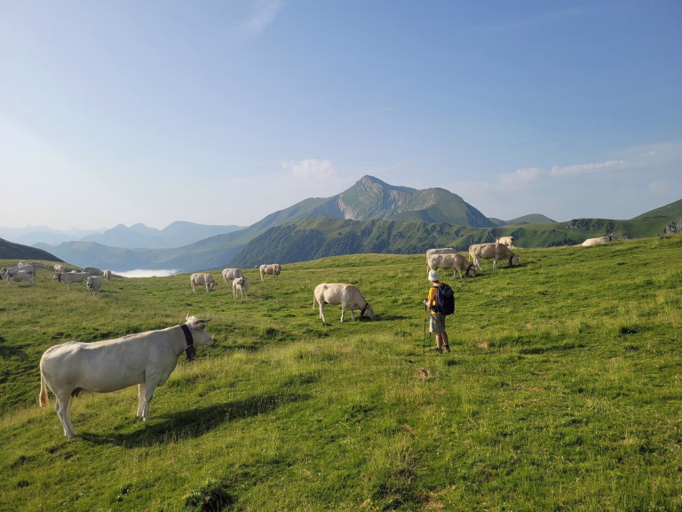 Séjours randonnée GR10 ou Haute Traversée des Pyrénées : quel itinéraire choisir pour randonner en France ?