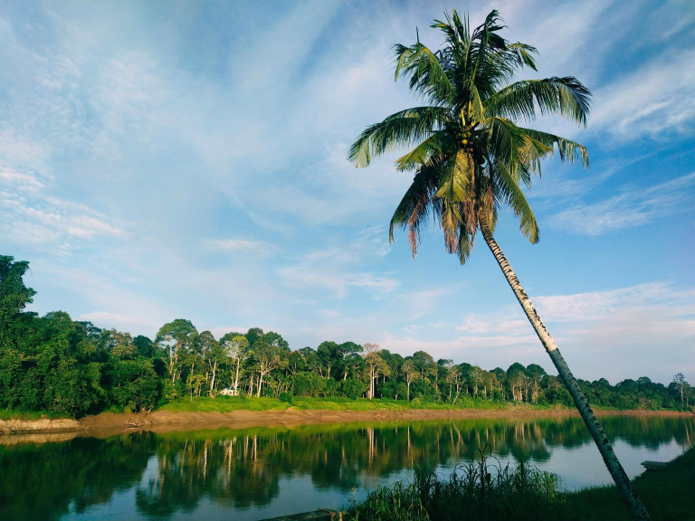 Nos voyages sportifs à Bornéo