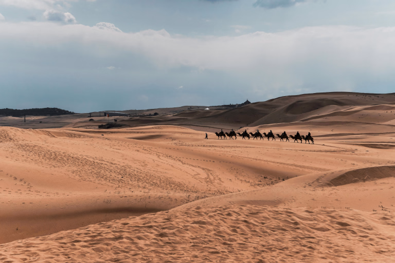 Le Désert de Gobi en Mongolie