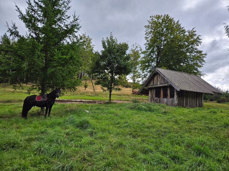 Randonnée équestre dans les Vosges