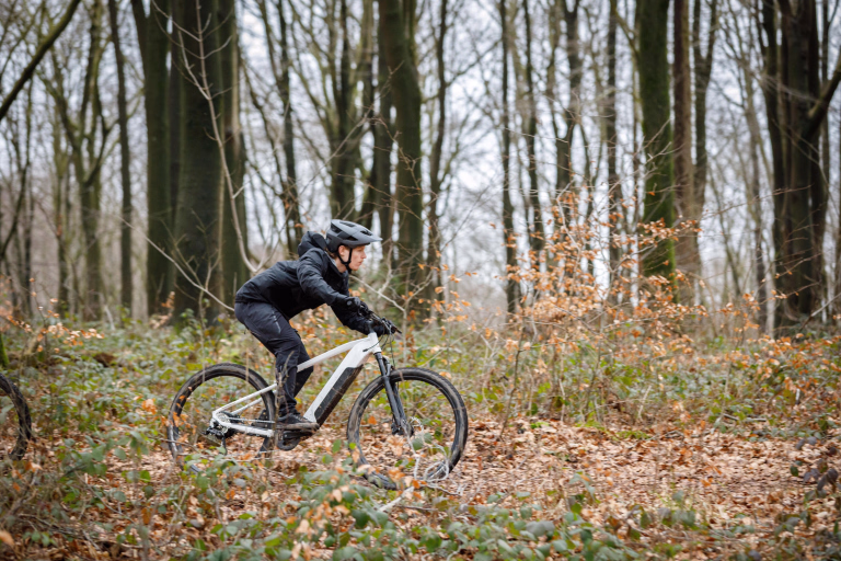 cycliste, foret