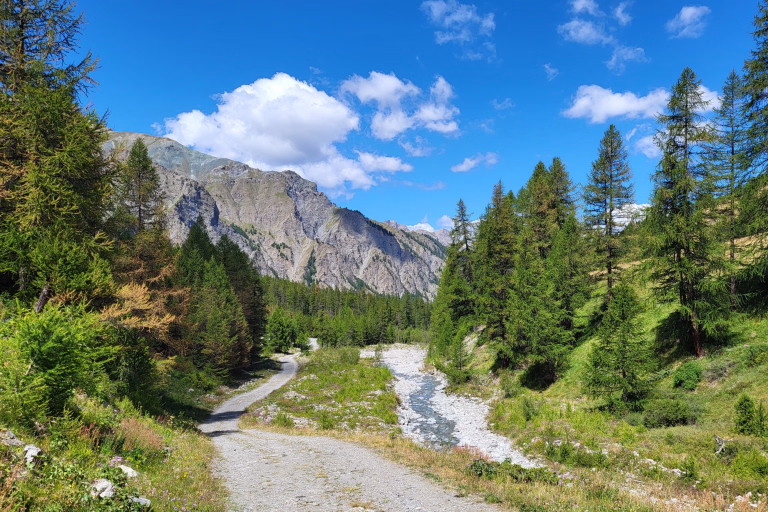 Sur le sentier du GR5