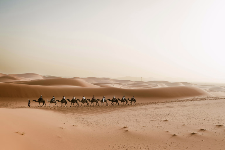 Désert Sahara © Désert Sahara