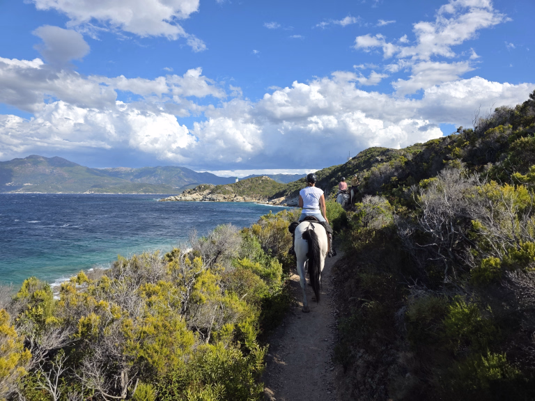 Randonnée équestre en Haute-Corse