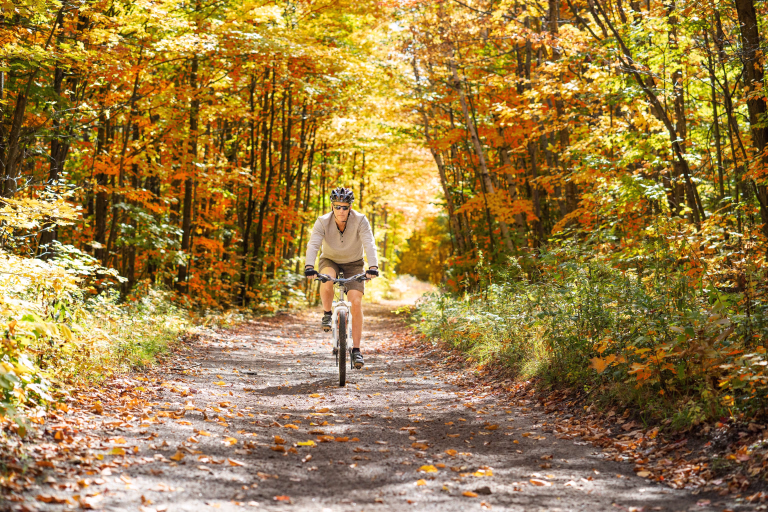 cycliste sur un chemin dans la forêt
