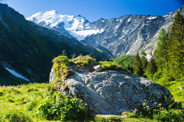 Le Mont-Blanc vu des sentiers
