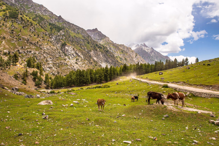Photo paysage au Pakistan