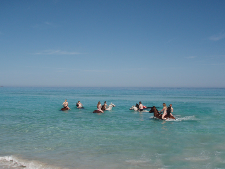 Randonnée équestre en Haute-Corse
