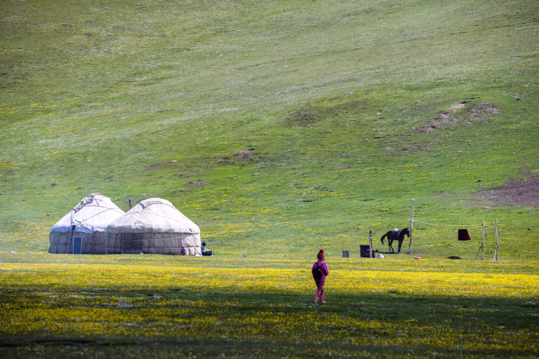 yourte mongole dans les champs