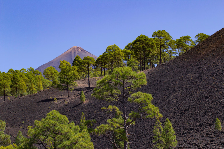 Les plus belles randonnées des îles Canaries