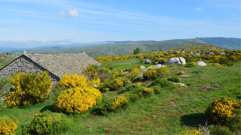 Des Cévennes aux Gorges du Tarn, randonnez en Lozère avec Decathlon Travel