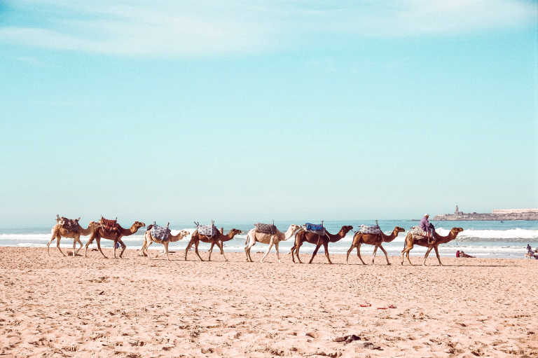 Plage typique marocaine © Plage typique marocaine