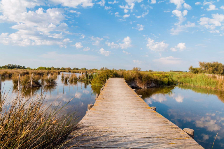 Découvrez tous nos séjours en Camargue pour vos prochaines vacances sportives