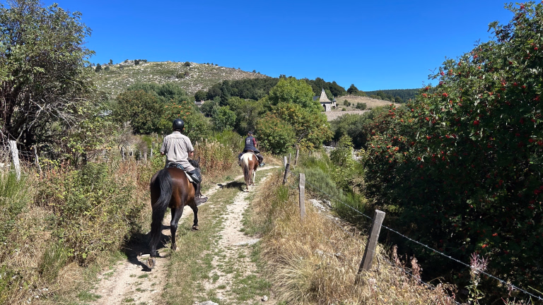 Randonnée équestre en Lozère