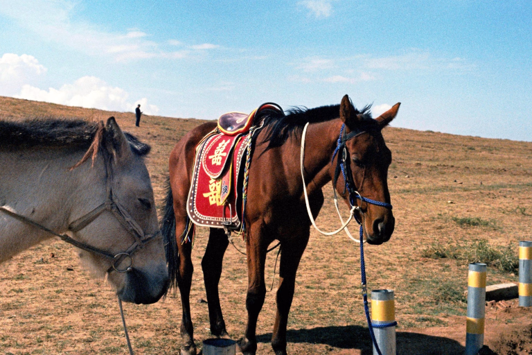 Découvrez nos séjours randonnée équestre en mongolie