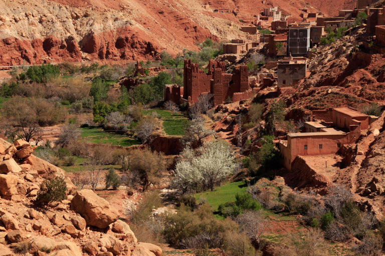 Paysage Ouarzazate
