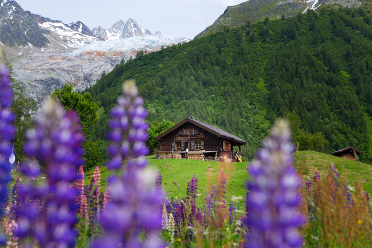 Refuge sur le TMB