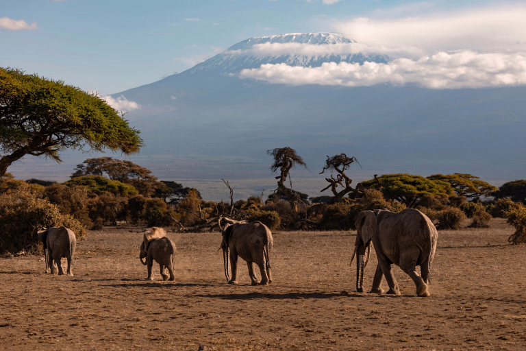 Découvrez combien de jours prévoir pour un trek au Kilimandjaro. Conseils et itinéraires pour une ascension réussie vers Uhuru Peak.