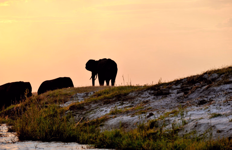 Nos voyages sportifs au Botswana