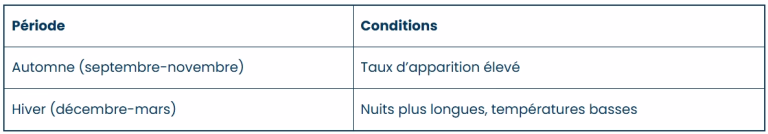 Quand partir en Laponie ?