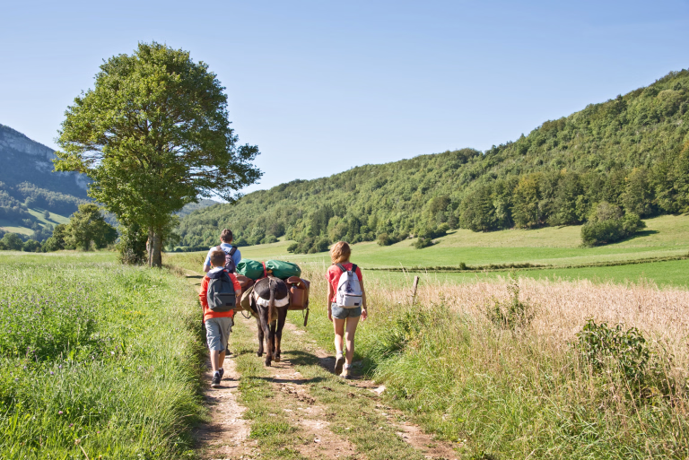 Chemin de Stevenson Vercors