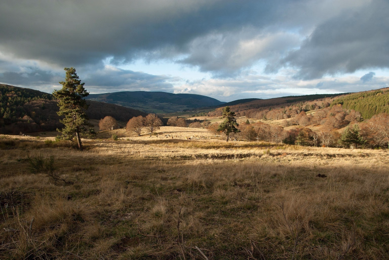 Découvrez Meyrueis pour votre prochain séjour sportif ! Activités variées et nature préservée vous attendent.
