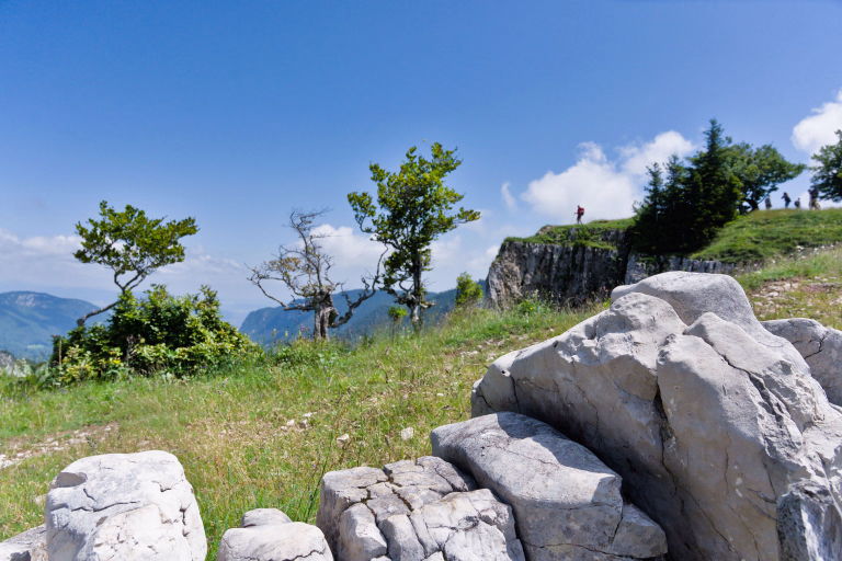 Discover our stays in Lamoura