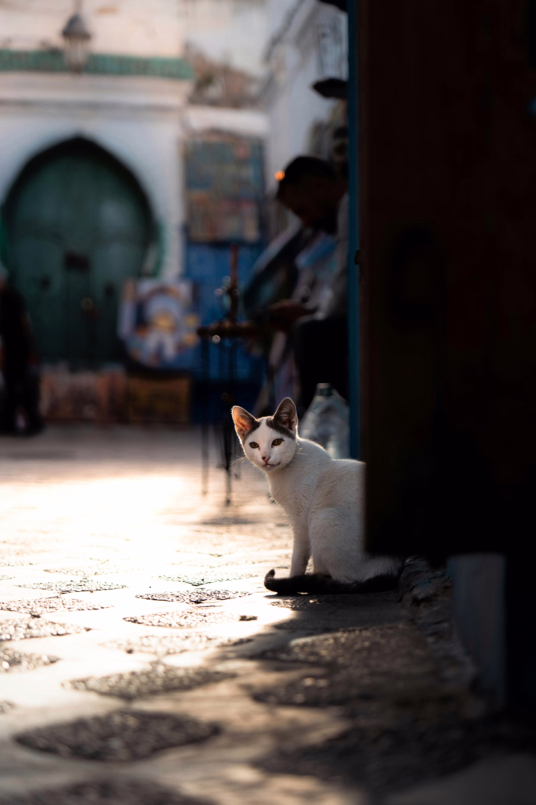 Maroc © Maroc