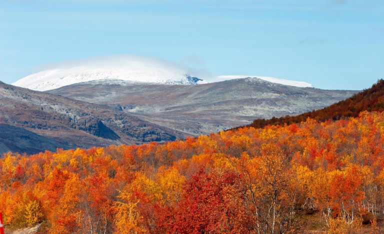 La Laponie en Octobre avec ses magnifiques couleurs d'automne