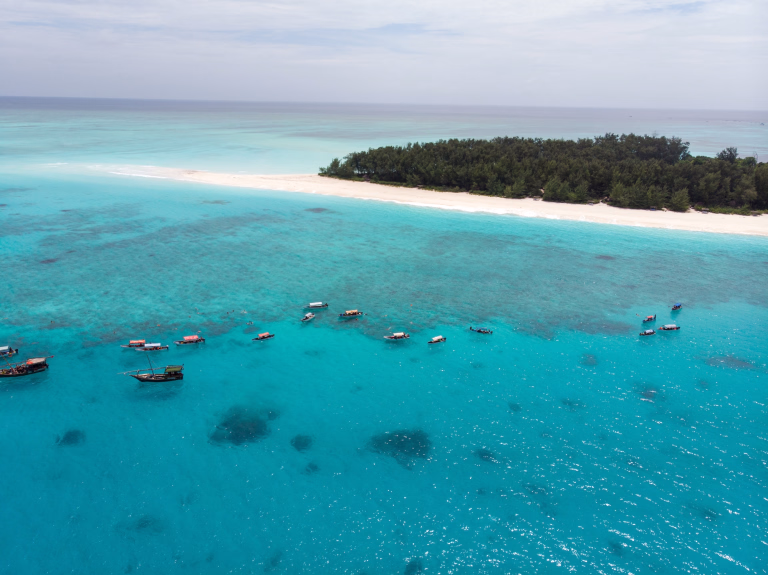 Quand partir en Tanzanie ?