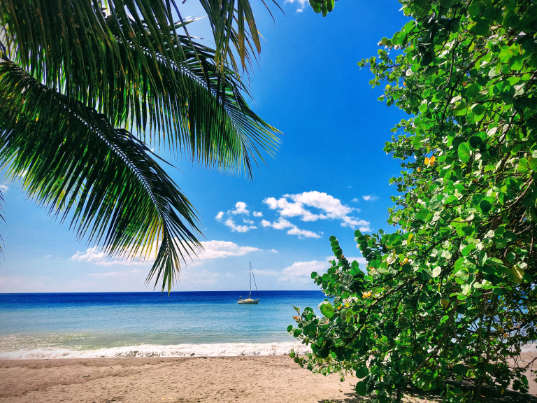 Découvrez nos séjours voile en Martinique