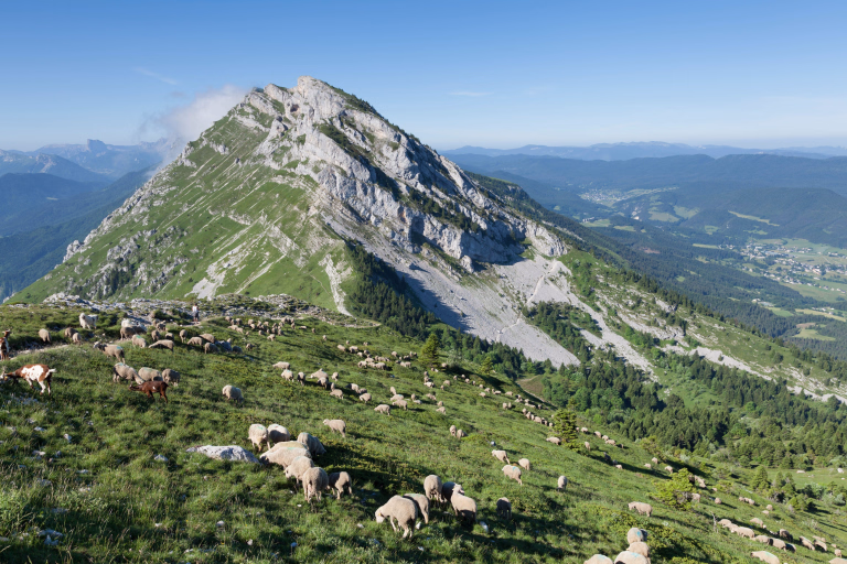 Nos voyages sportifs au Massif d'Arvan-Villards en France