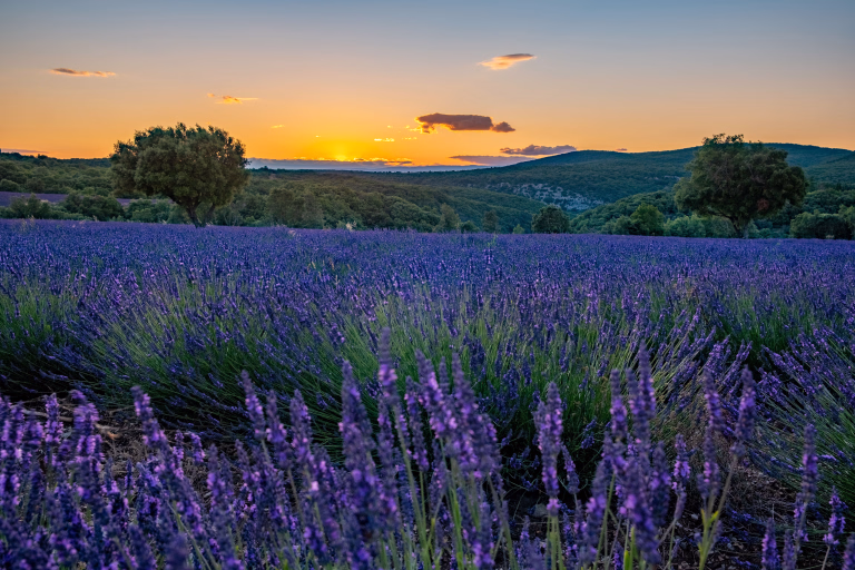 Découvrez nos voyages sportifs dans l'Ardèche pour vos prochaines vacances