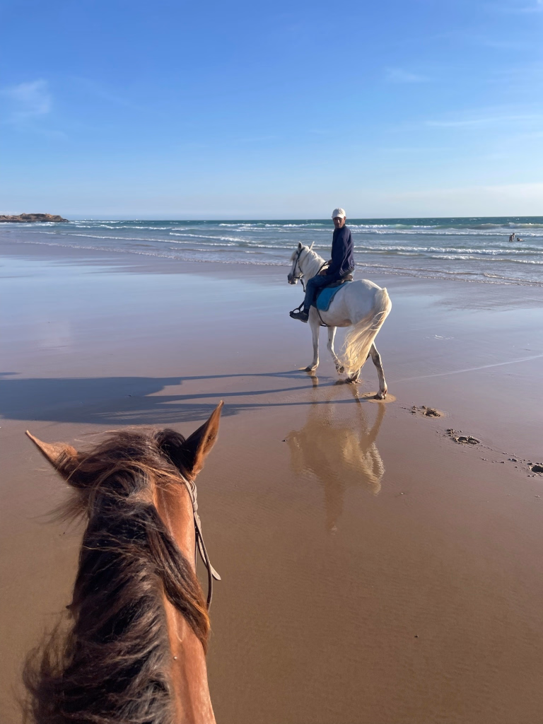 Rando équestre sur la plage Maroc