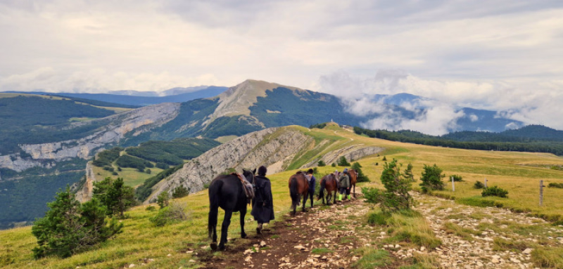 Galop sur les plateaux du Vercors