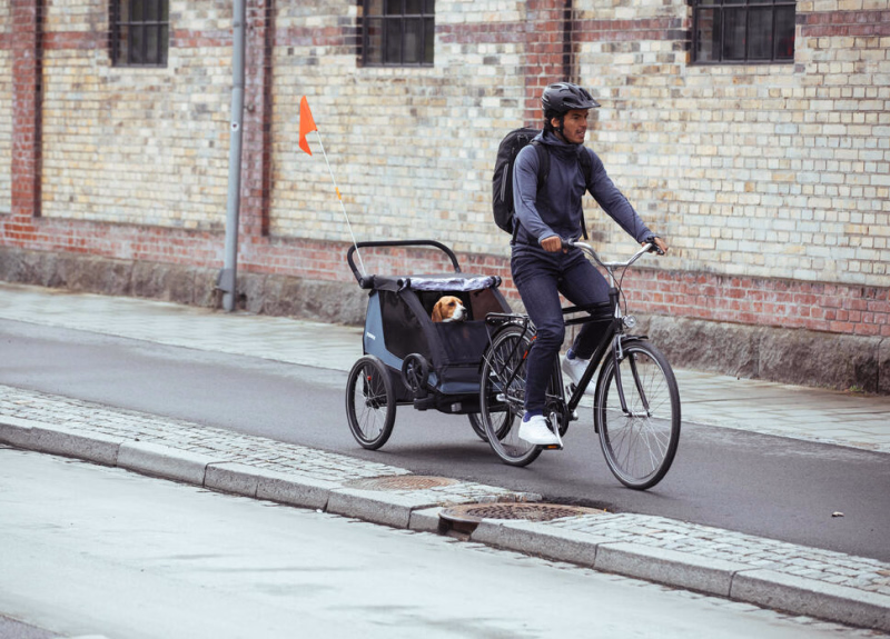 séjour à vélo avec son chien