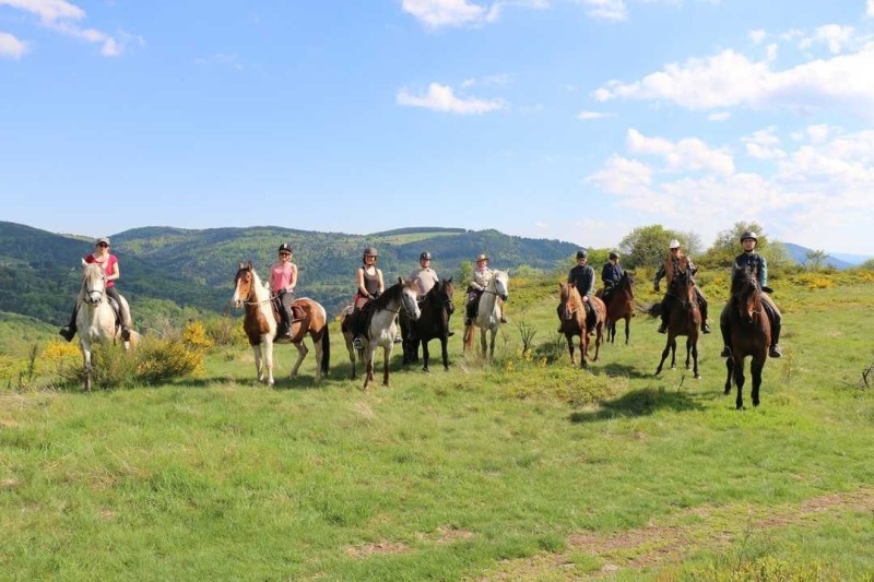 Randonnée à cheval dans les monts d'Alsace