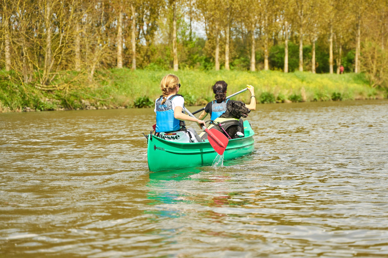 canoe avec son chien