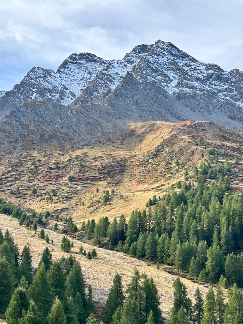Les balcons du Queyras en randonnée