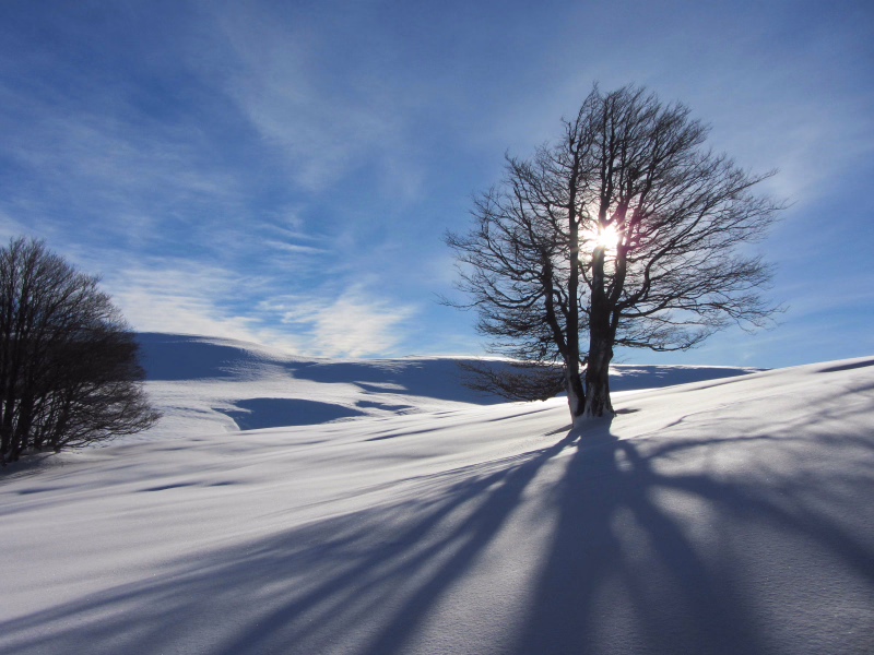 vue dans le massif du Vercors en France