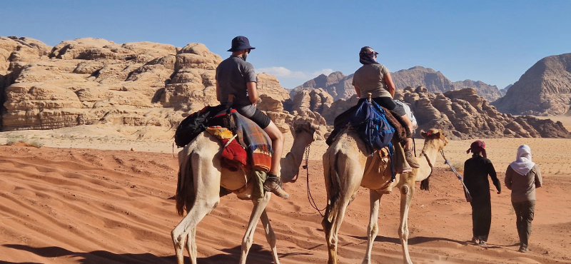 Photo de chameaux en Jordanie