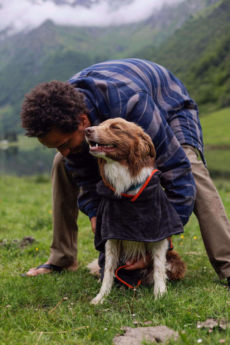 randonnée avec son chien