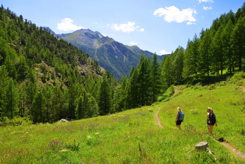 Randonneurs dans le parc national du Gran Paradiso