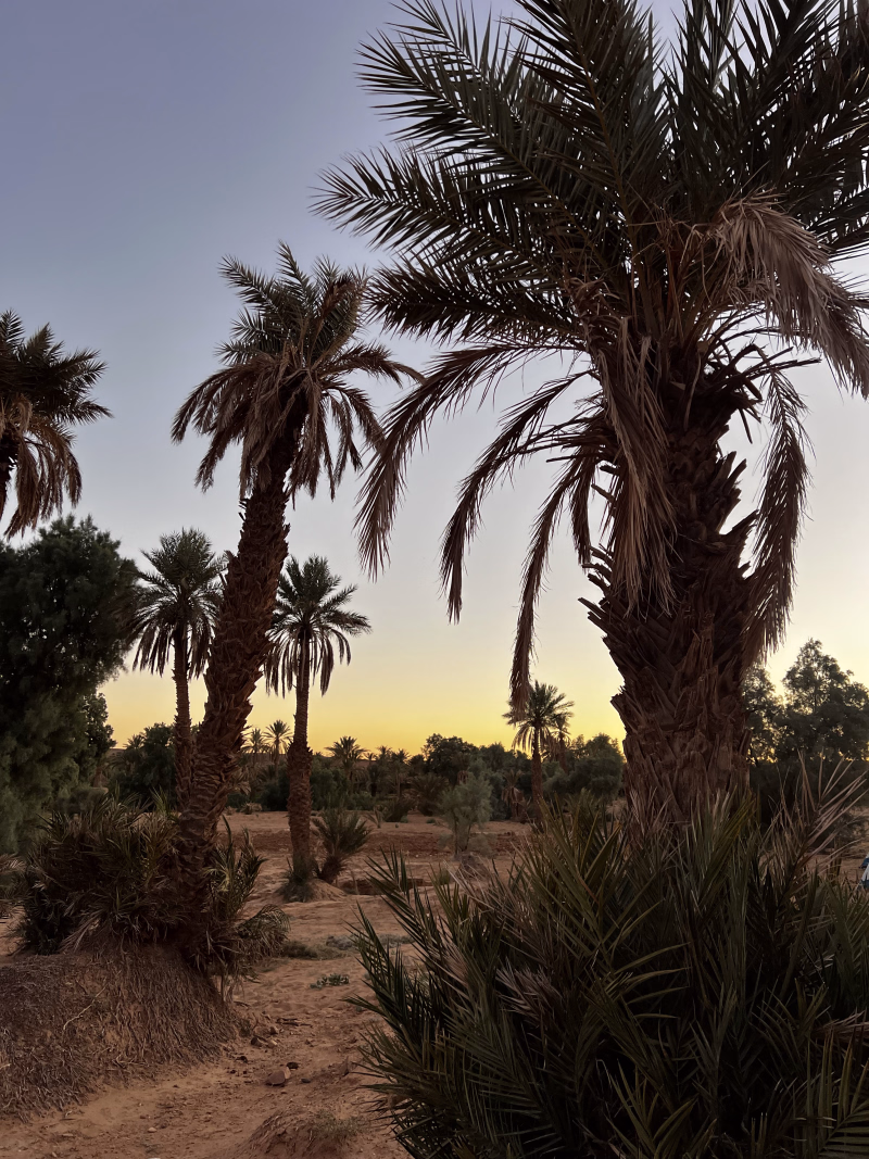 Trek entre oasis, dunes et jbel de Tazzarine